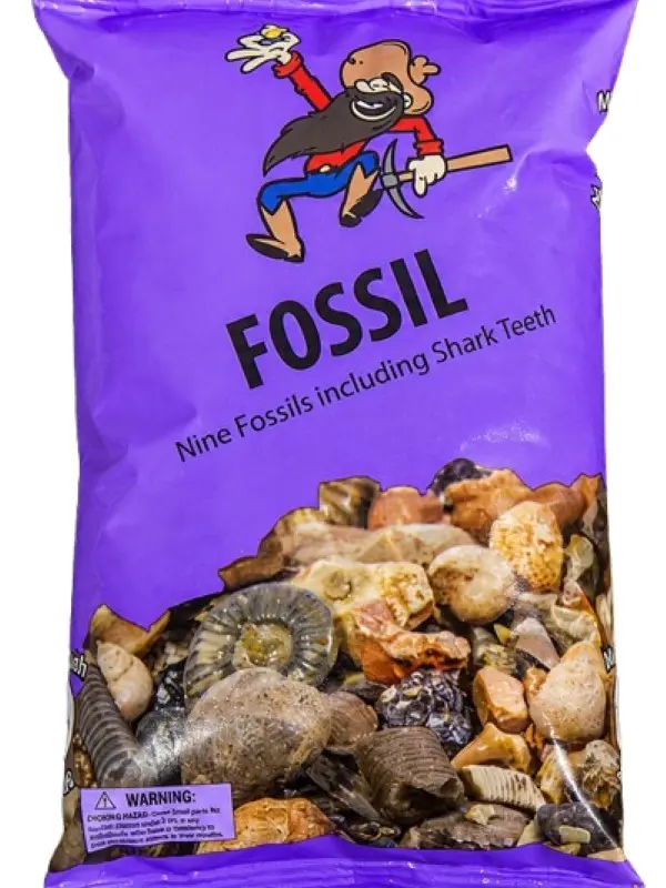 Purple Fossil Mining Bag