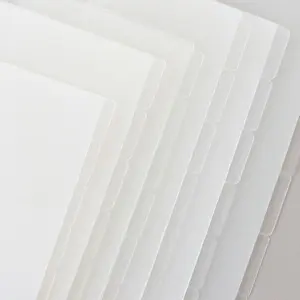 Divider Dashboards SIDE | FROSTED