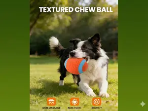 Interactive Squeaky Ball Toy for Dogs – Perfect for Solo & Group Play Durable Chew Outside Outdoor,pet toy ball
