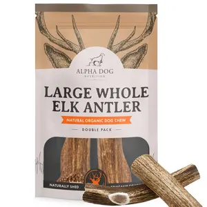 Elk Antler Dog Chews