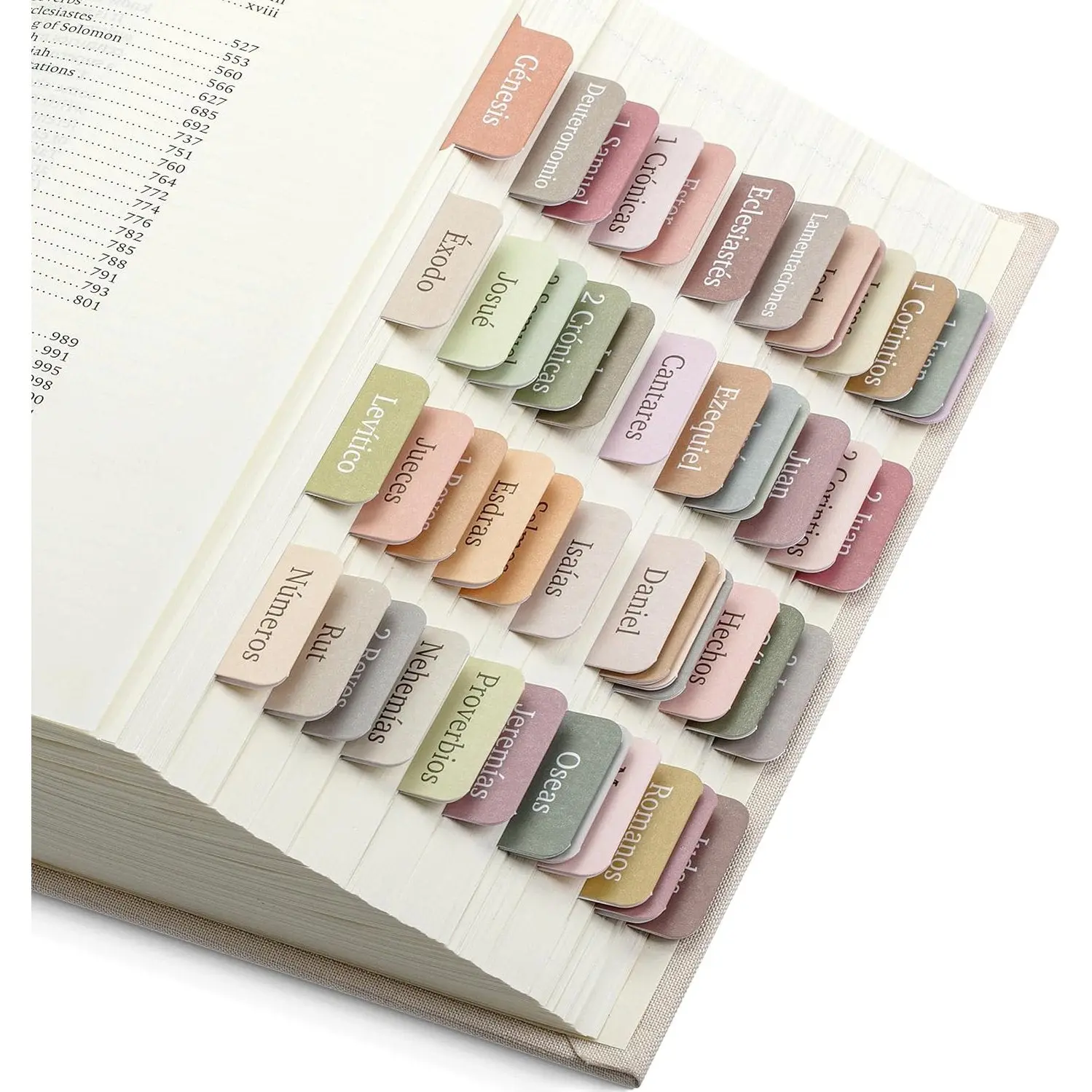 Spanish Bible Tabs, 75 Tabs, Boho Theme, Laminated Bible Tabs for Women and Men, Bible Tabs in Spanish, Bible Tabs Spanish, Bible Tabs for Study Bible, Bible Index Tabs, Mr Pen Bible Tabs