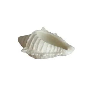 Seashell Soap lathers well and made with our sea salt and orchid essential oil Body Care Shea Shea Butter Body Wash Cleanser