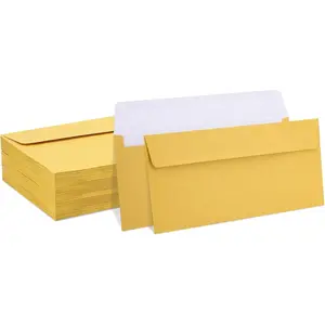 100 Pack  Metallic #10 Business Envelopes 4-1/8 x 9-1/2 in Square Flap Mailing Envelopes for Office, Business Letterhead, Invoices, Personal Mailing, Letters,  Invitations & Announcements