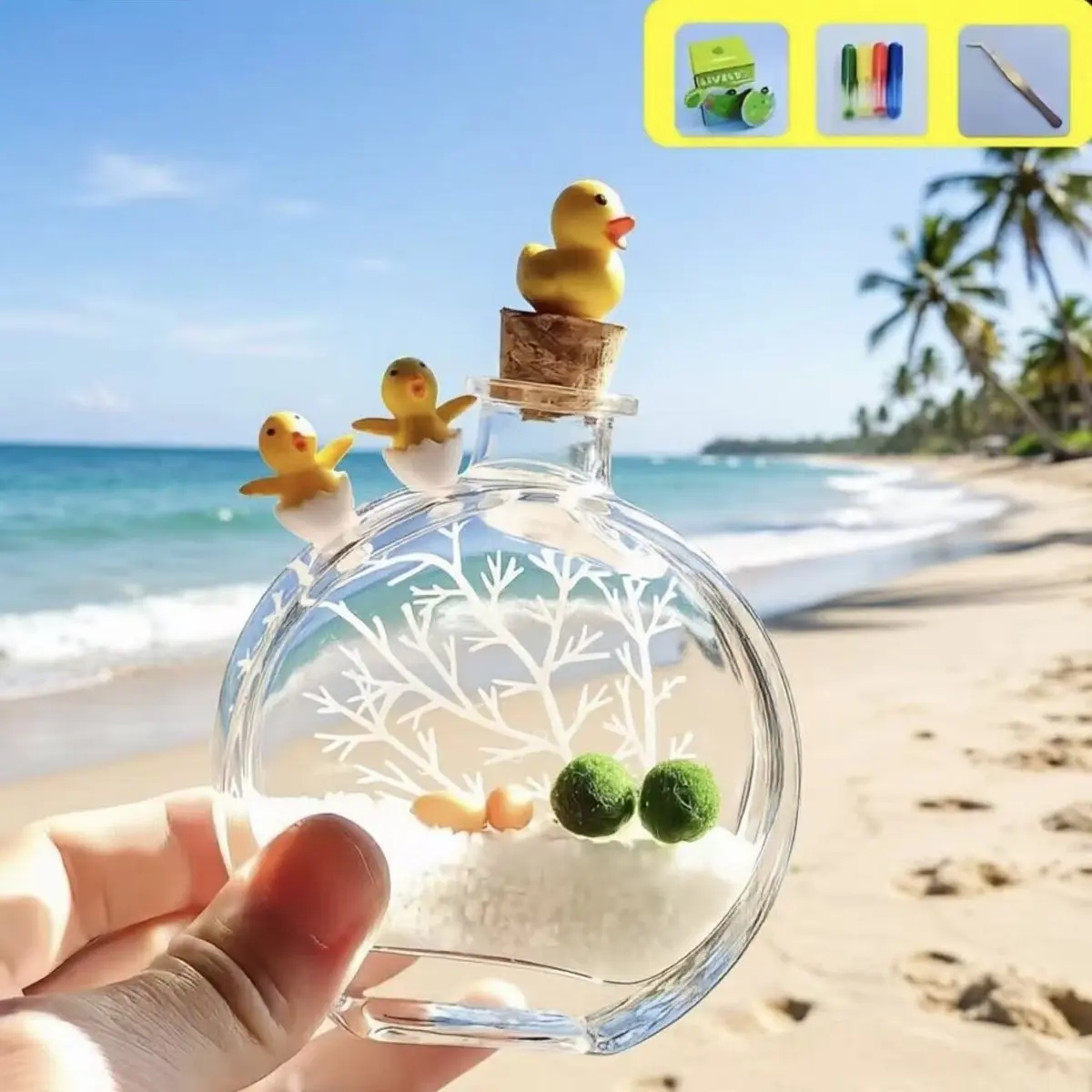 Live Aquarium Plant - Marimo Moss Ball in Perfume Bottle, Self-Sustaining Closed Ecosystem for Fish Tank & Desktop, Aquatic Pet Habitat Decor (Includes Live Pet)