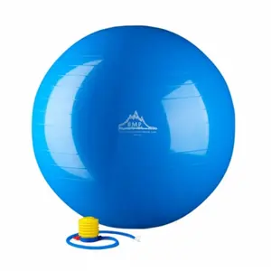 212 MAIN Pro Series 65cm Exercise Stability Ball with Dense Walls, 2000 lbs Static Support, Red & Included Pump