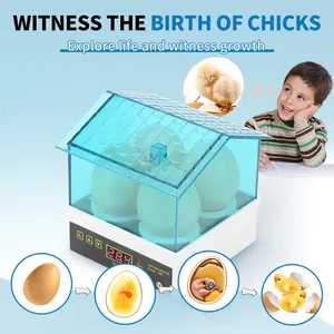 Small Home Automatic Temperature Control Incubator, Mini Egg Hatcher for Parrots Quails Chickens, Poultry Incubator