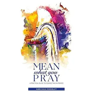 USED-Mean What You Pray: A Practical Guide To Connecting In Prayer by Rabbi Shaul Rosenblatt (Hardcover)