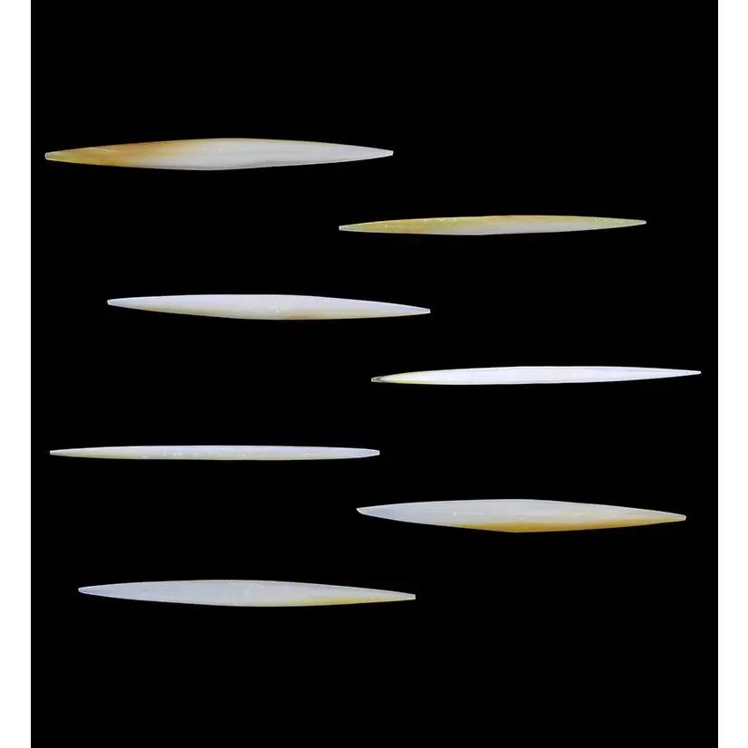 Mother of Pearl Septum Spike