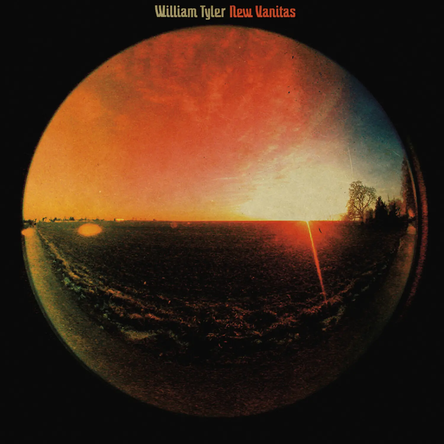 William Tyler - New Vanitas (RSD Limited Edition) 12" EP Reissue English Vinyl Record LP, Black, Matte Jacket, Rock Music, 7 Tracks, 2020 Pandemic Vinyl Records