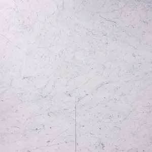 Carrara White 24×24 Polished/Honed Marble Tile Sample