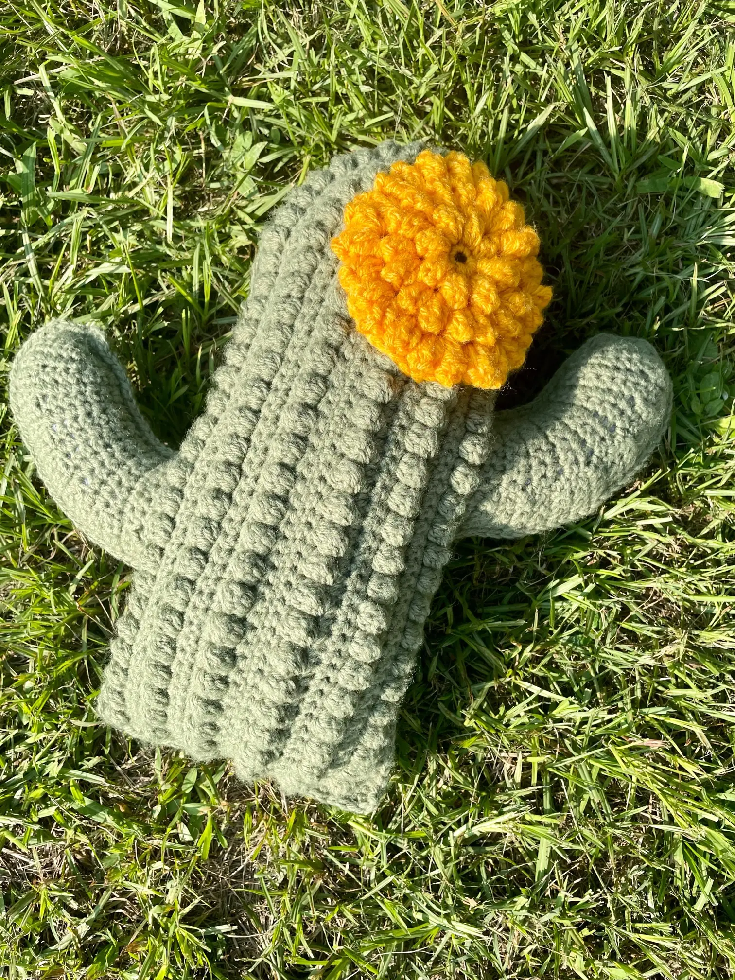 Soft Crochet Cactus Throw Pillow