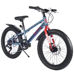 [Bellemave]20 Inch Kids' Mountain Bike, 7-Speed, Dual Disc Brakes, Ultra-Responsive Stopping, Unisex Design, KENDA Fat Tires for Beach Riding