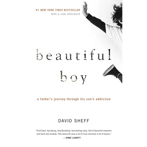 Used Book - Beautiful Boy: A Father's Journey Through His Son's Addiction by David Sheff (Mariner Books, 352pp Soft Cover, #1 New York Times Bestseller, English Reading Material, Unforgettable Family Memoir, Resource for Parenting an Addict) - Like New