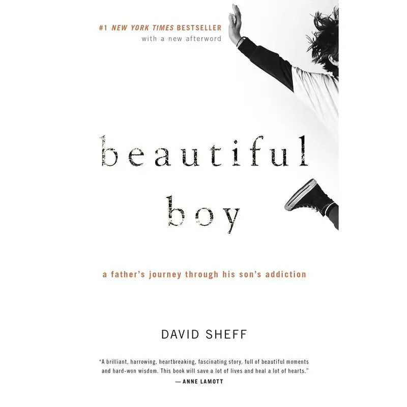 Used Book - Beautiful Boy: A Father's Journey Through His Son's Addiction by David Sheff (Mariner Books, 352pp Soft Cover, #1 New York Times Bestseller, English Reading Material, Unforgettable Family Memoir, Resource for Parenting an Addict) - Like New