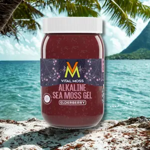 Vital Moss Elderberry Sea Moss Gel – Dietary Supplement (16 fl oz)