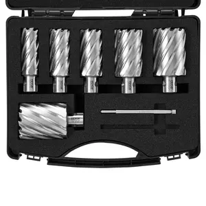VEVOR Annular Cutter Set,  6 pcs Universal Shank Mag Drill Bits, 1" to 2" Cutting Diameter, 2" Cutting Depth, M2AL High-Speed Steel, with 2 Pilot Pins and Portable Case, for Using with Magnetic Drills