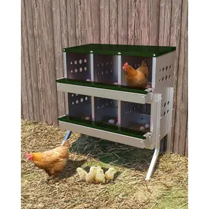 Green Chicken Nesting Box for Laying Eggs, Roll Away Chicken Laying Boxes, Roll Out Nesting Boxes for Hens, 6 Compartments with Legs