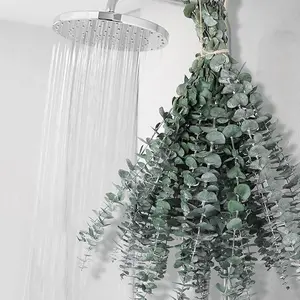 12 PCS Dried Eucalyptus Bundle for Shower - 17" Large Preserved Eucalyptus Stems Shower Plant, Fresh Eucalyptus Leaves for Shower Hanging, Artificial Flowers Arrangement, Home Bathroom Decor