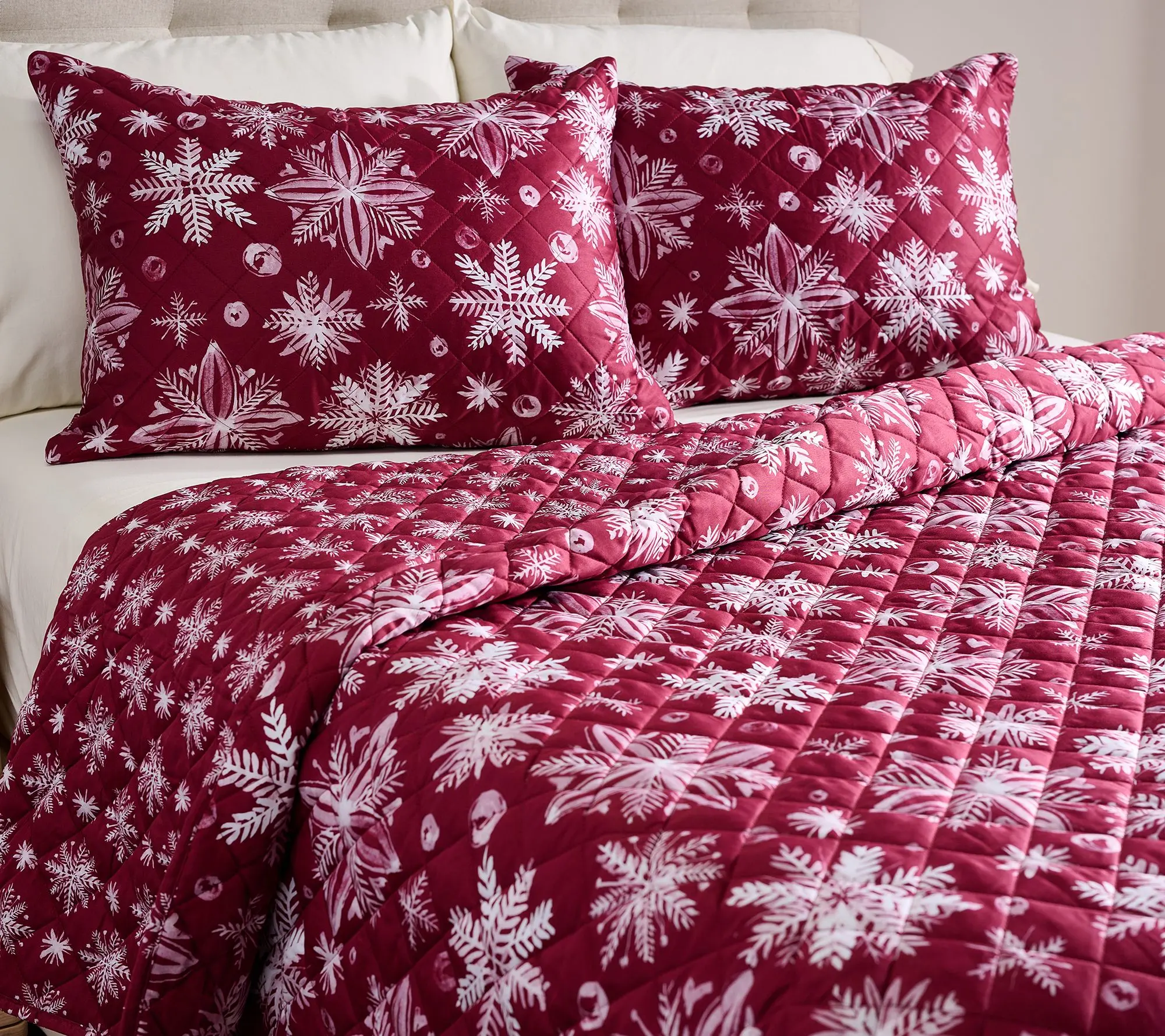 Snowflake Reversible Quilt Set by Kim Gravel - Queen