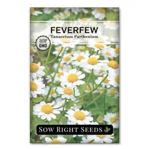 Feverfew Seeds