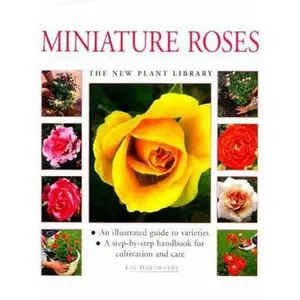 USED-Miniature Roses: An Illustrated Guide to Varieties & a Step-by-Step Handbook for Cultivation & Care by Lin Hawthorne (Hardcover)