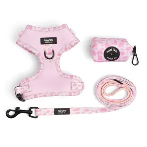 Happy Tails Pink Pastures Dog Walking Set with Adjustable Harness Leash & Poop Bag Holder for Stylish Walks