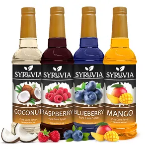 Syruvia Fruit Flavors Variety Pack – Coconut, Raspberry, Blueberry & Mango Syrup – Perfect for Cocktails, Lemonade, Iced Tea & More – 25.4 Fl oz Bottles (4 Pack)