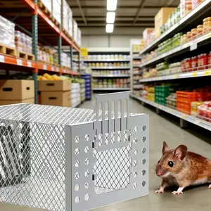 2pcs/4pcs Efficient Rat Control Cage, Ultra-Durable Iron One-Way Entry Mouse Trap