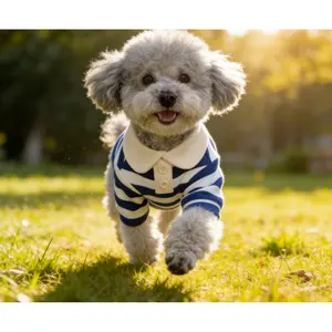 Pet clothing, striped shirt for dogs, striped shirt for small dogs, suitable for all seasons, for Teddy, Bichon, Schnauzer pets, outdoor, shopping, comfortable  easy for clean clothes dog accessories dog products cool cat stuff pet stuff/pet suprise gift