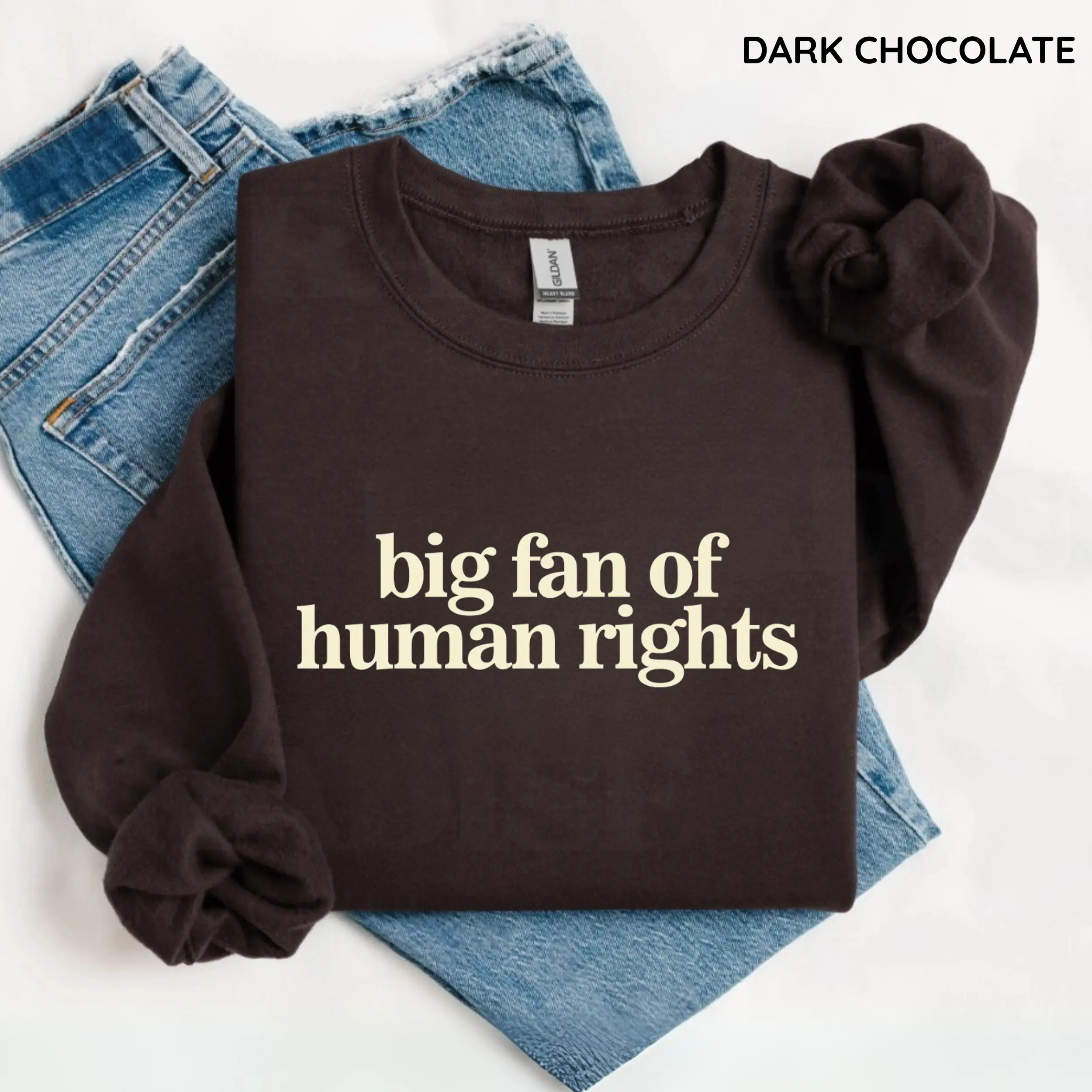 Big Fan of Human Rights Minimalist SweatShirt, No Human is Illegal Sweater, Radicalized by Decency Retro Graphic Long Sleeve Tee for Empathy