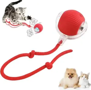 Interactive Cat Toy Ball for Indoor Cats, 2026 New Viral Speedy Tail Automatic Moving Ball, Motion Activated Rechargeable Cat Enrichment Toy for Cats & Small Dogs