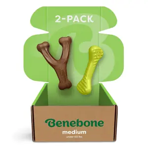 Chew & Chase Duo | 2-Pack of Durable Dog Toys | Tough Nylon & Natural Rubber