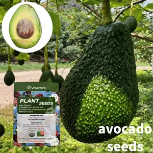 Avocado Seeds for Planting, Non-GMO Fruit Seeds, Suitable for Pots, Indoor and Outdoor Garden Growing