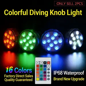 2 Remote Pool Lights + 1 Remote, RGB Colorful Submersible Light, 16 Colors LED Waterproof Lamp, Aquarium Fish Tank Light, Ocean Aquarium Lamp, Outdoor Decor, Easter Party Light