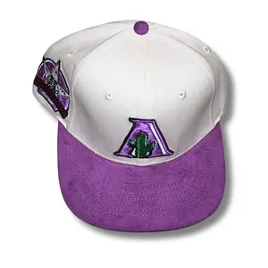 SYC Arizona- Snapback