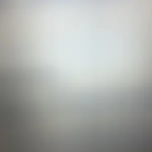 review image 3