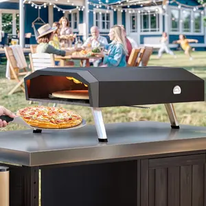 YTIAHOME Multi-styles Pizza Oven 12/13-Inch with Built-in Thermometer, Portable, Lightweight, and Rustproof for Outdoor Cooking Steel Multifunction