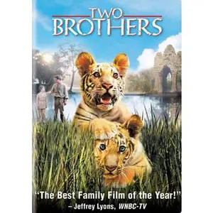 USED-Two Brothers (DVD)