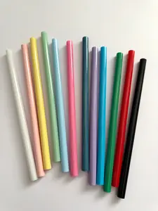 Reusable Straw- Plastic BPA free