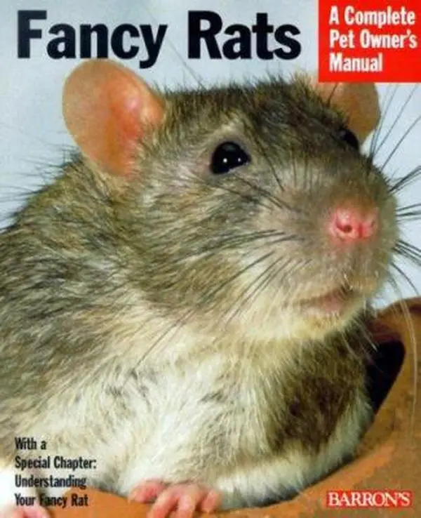 USED-Barron's Fancy Rats (Complete Pet Owner's Manual) by Gisela Bulla (Paperback)