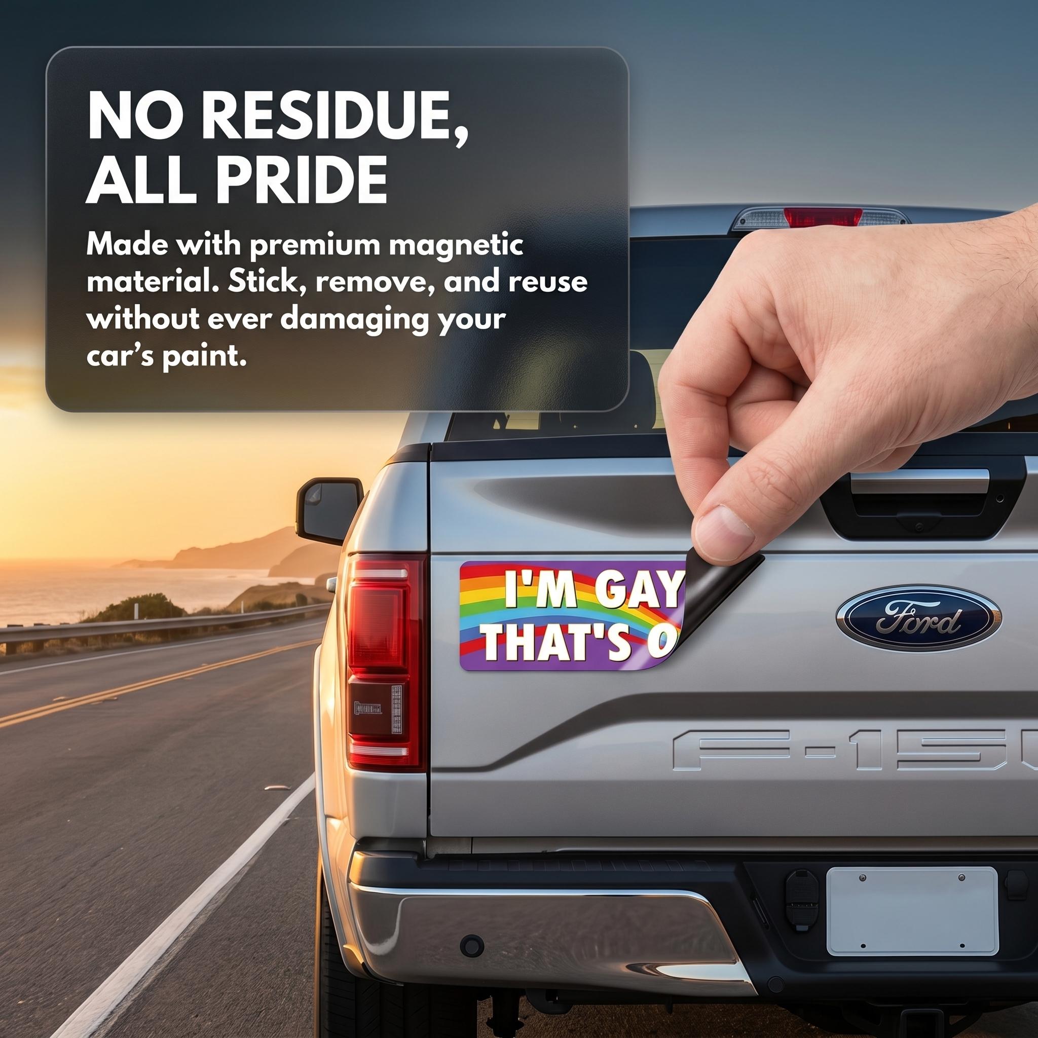 12PCS Rainbow Pride Magnetic Bumper Stickers on car