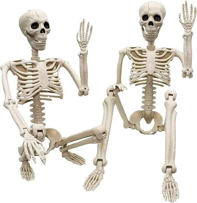 Halloween Skeleton Decorations 2 Pack, 36 Inch Posable Plastic Human Skeleton, Life Size Skeleton Props for Yard, Lawn, Garden, Haunted House & Halloween Party