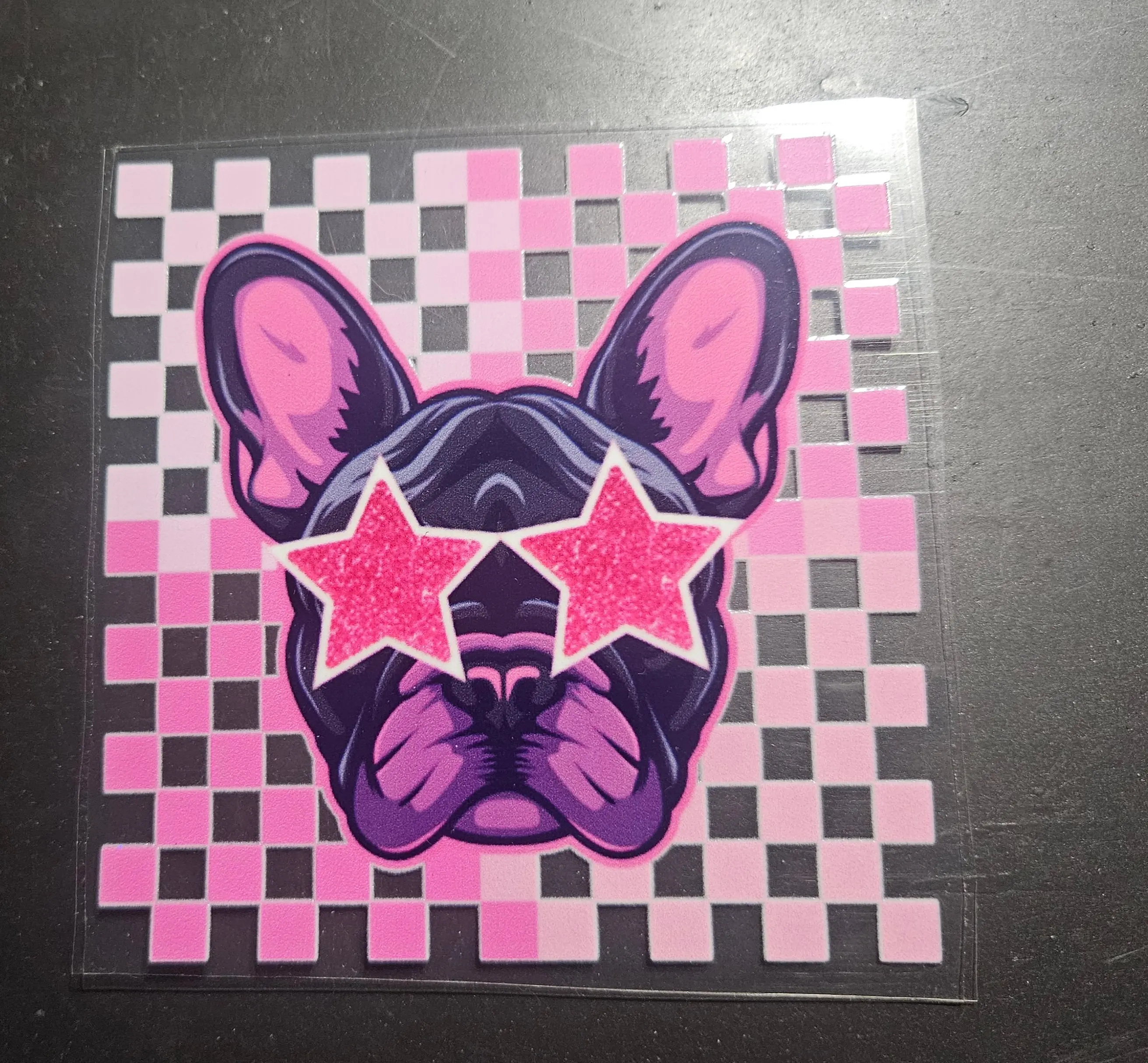 4in frenchie