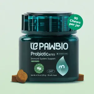 Digestion Support Chews for Cats