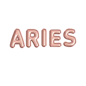 Rose Gold Zodiac Name Balloon Banners