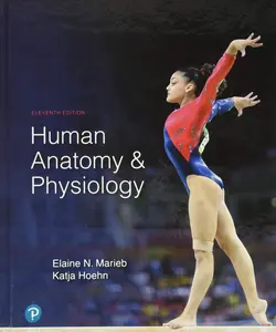 Human Anatomy & Physiology -- Elaine Marieb - Hardcover