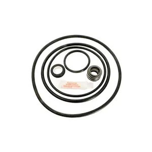 212 MAIN Sta-Rite Dynaglass & J Series Pool Pump with O-Rings and Seal Kit, Easy-Service Design for Pool Repair Needs
