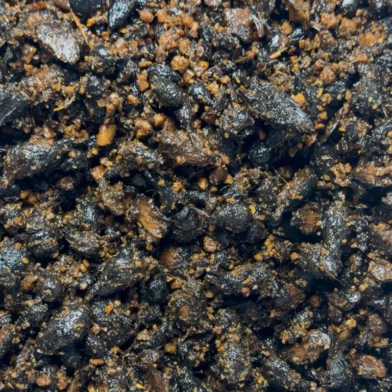 The Scented Shoppe Gowé Noir Incense Jar - Traditional West African Home Fragrance Made in Mali with Aromatic Roots, Natural Resins, Charcoal; Home Freshener for Warm, Clean Scented Atmosphere