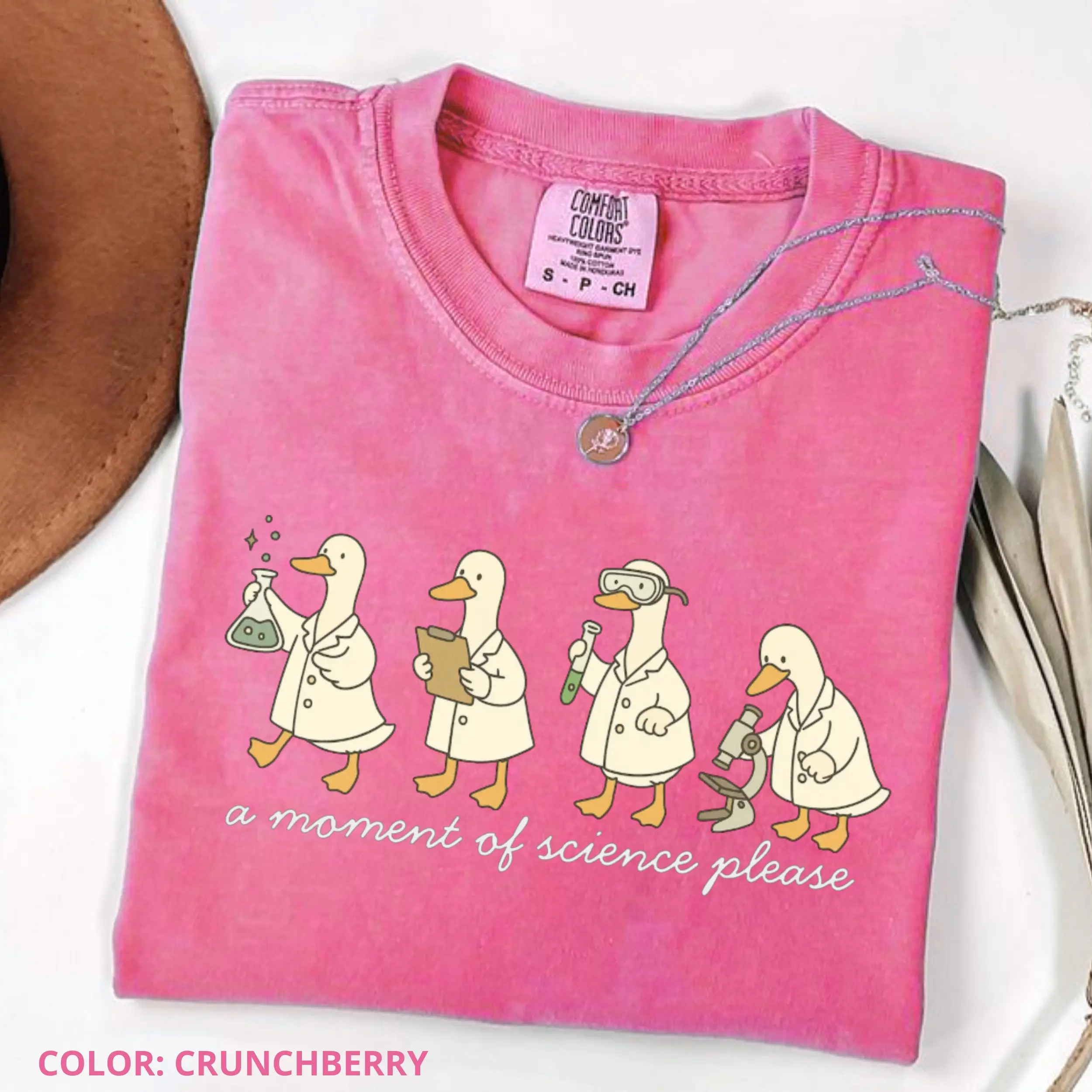 Comfort Colors A Moment of Science Shirt, Funny Science Teacher Tee, STEM Shirt for Women, Chemistry Classroom Gift, Back to School Shirt