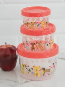 Set of 3 Storage Containers